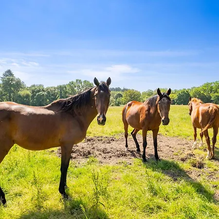 Manoir De L'aisnerie Le Pavillon