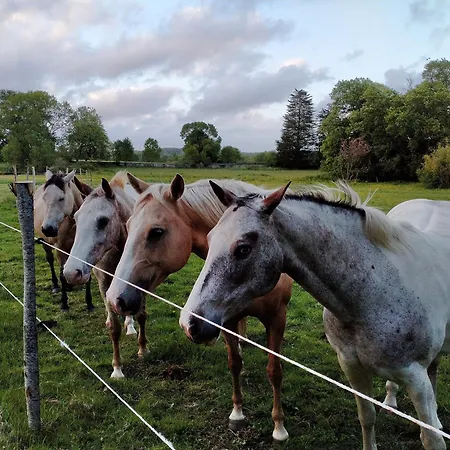 Manoir De L'aisnerie Le Pavillon