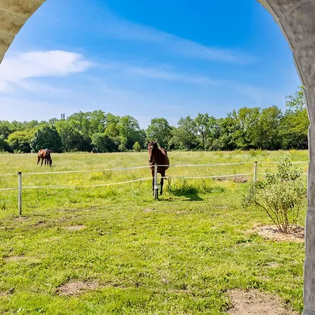 Manoir De L'aisnerie Le Pavillon Hébergement de vacances