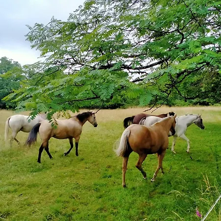 Prázdninový dům Manoir De L'aisnerie Le Pavillon